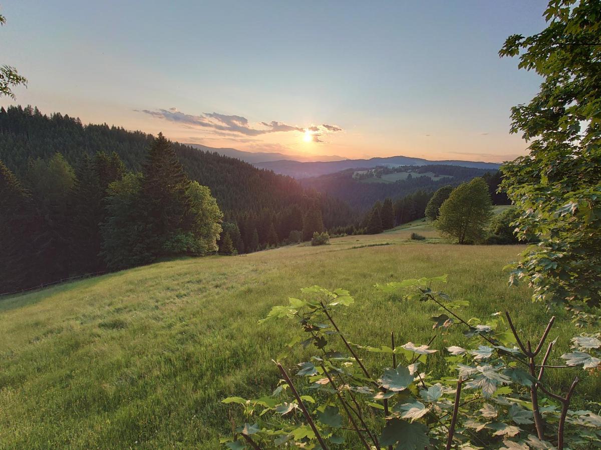 Forsthaus Pracken Villa Wolfsberg Eksteriør billede